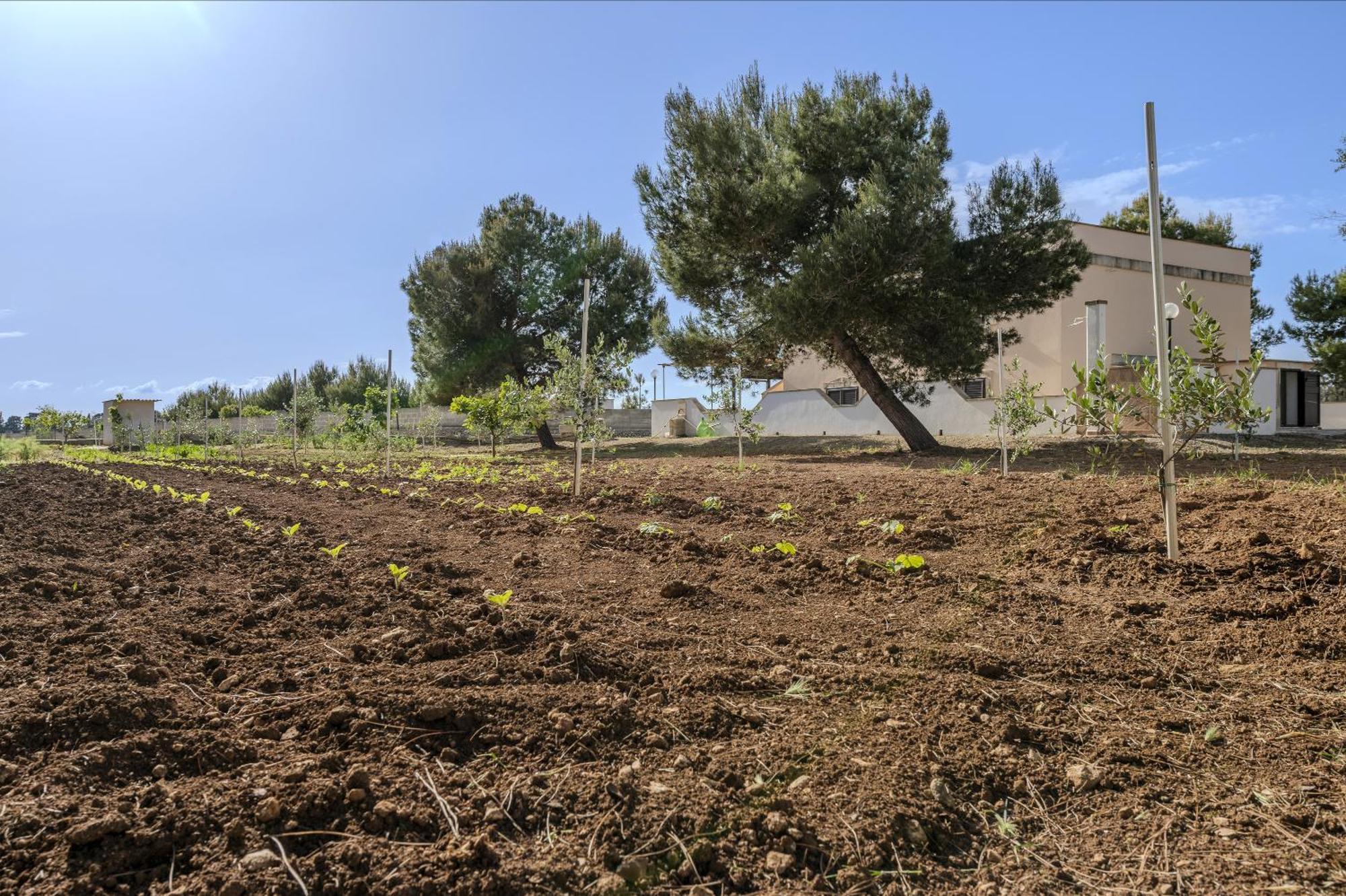 Casa Di Giorgia * Otranto